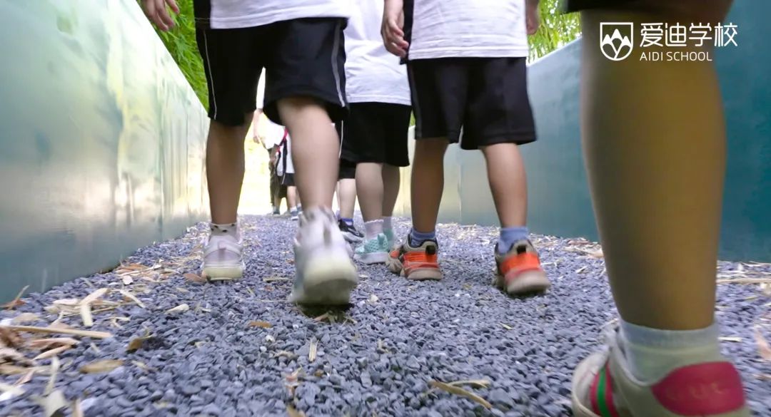 自然爱迪 | 宝藏“爱迪四季植物园”温馨揭幕,快来一探究竟! 北京爱迪国际学校四季植物园建成