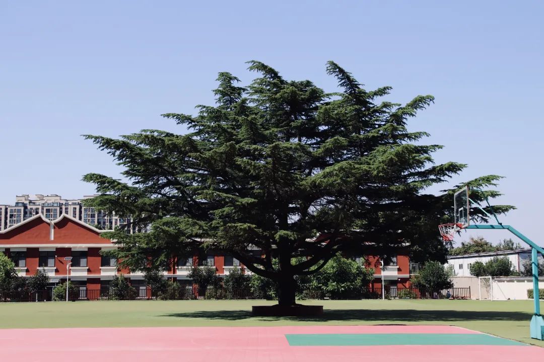 国开中学国际部暑期校园风采                