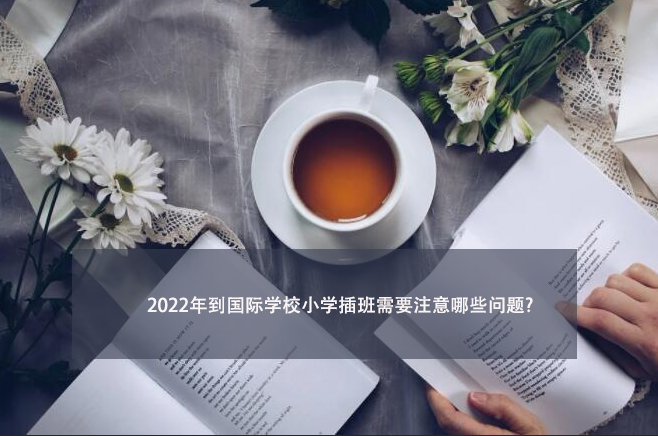 2022年到国际学校小学插班需要注意哪些问题?