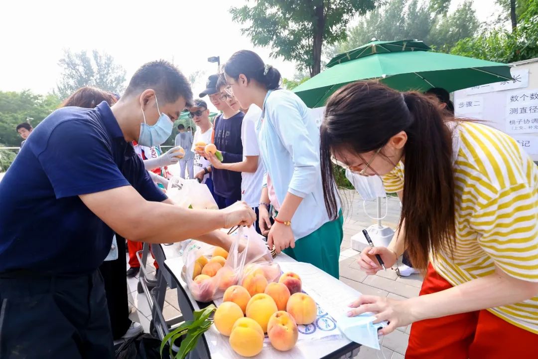 北京一零一中的桃子熟了! 北京一零一中桃子义卖活动回顾