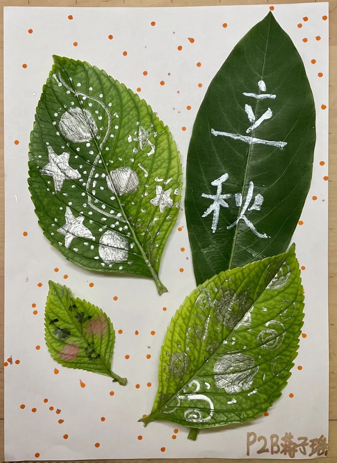 万源城协和双语学校小学部节气项目介绍                