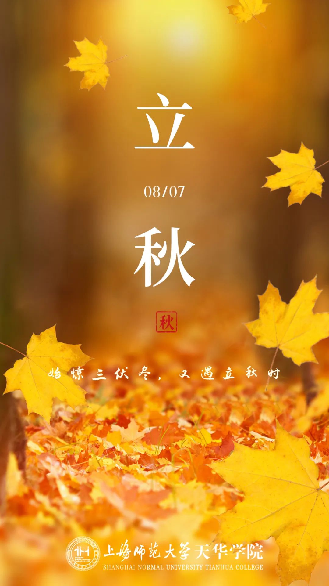 上海师范大学天华学院节气说——立秋篇                