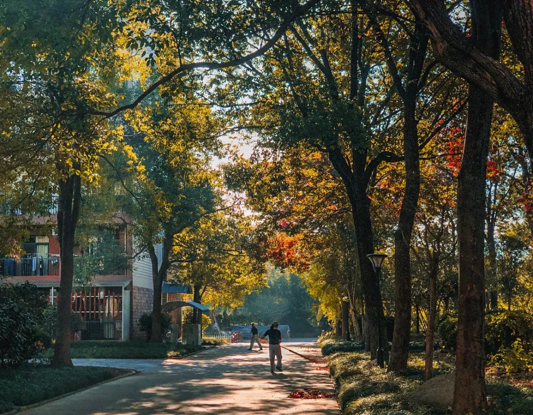 上海师范大学天华学院节气说——立秋篇                