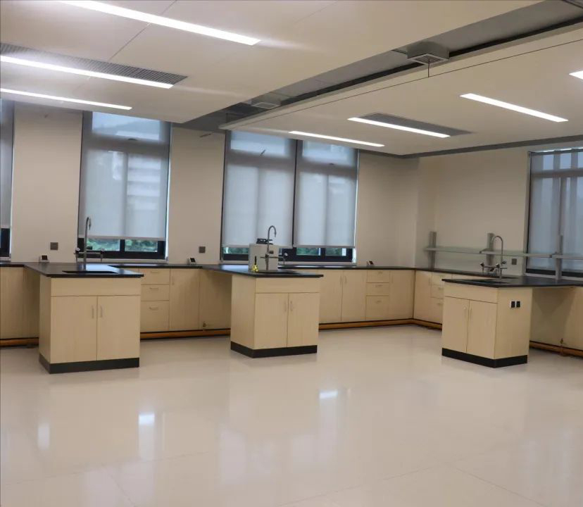 深圳蛇口国际学校(小学部)怎么样呢?首次公开学校照片                
