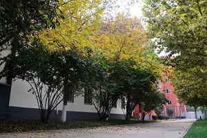 北京新府学外国语学校寄宿条件怎么样? _ 北京新府学外国语学校