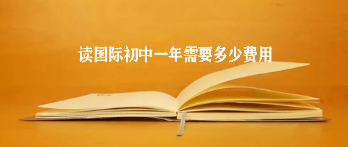 送孩子读国际初中一年需要多少费用?