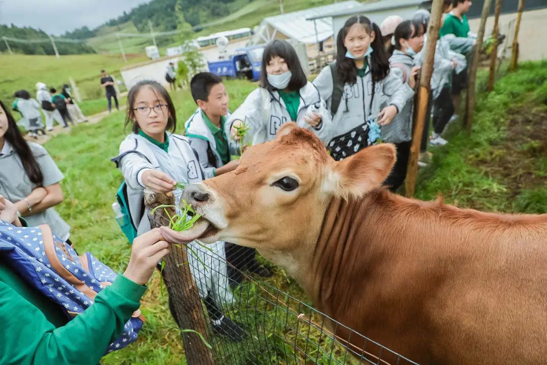 昆明青苗国际双语学校中学部师资阵容                