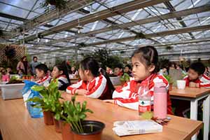 北京市私立汇佳学校拓展课程都有有哪些呢?（小学部） _ 北京市私立汇佳学校