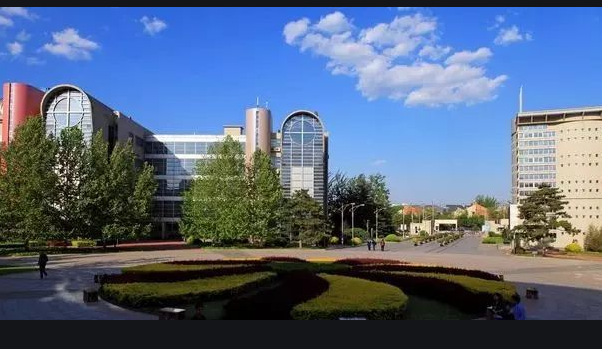 八十中/人朝分0.5项目在高中国际课程的学习中起到怎样的作用?