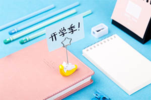 北京市丰台区新北赋学校(原北大附属实验学校)可以申请什么年级? _ 北京市丰台区新北赋学校(原北大附属实验学校)