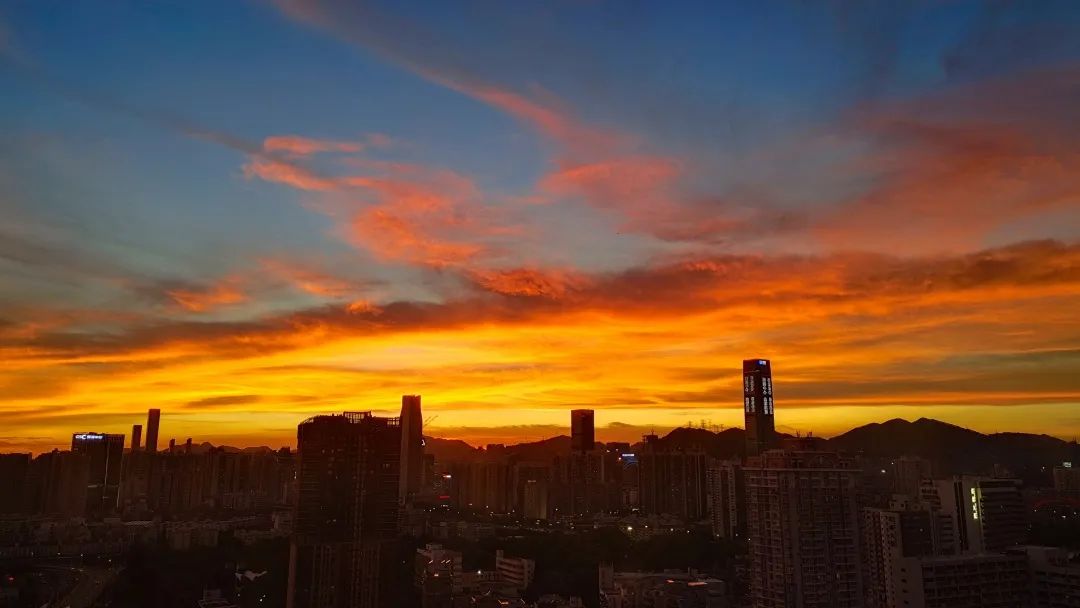 深圳中学学生生活：在深中的这段奇妙旅行                