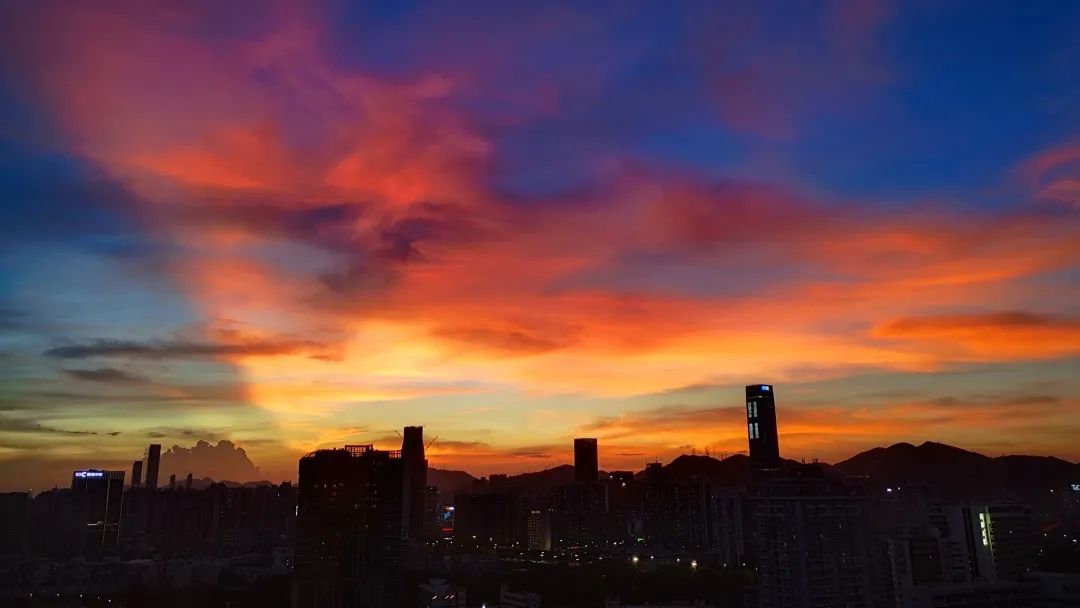 深圳中学学生生活：在深中的这段奇妙旅行                