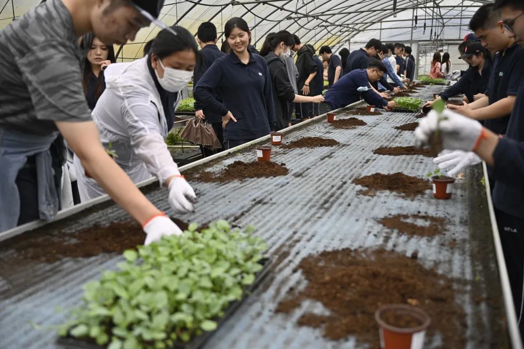 记2022年上海世外中学高中部年级活动                