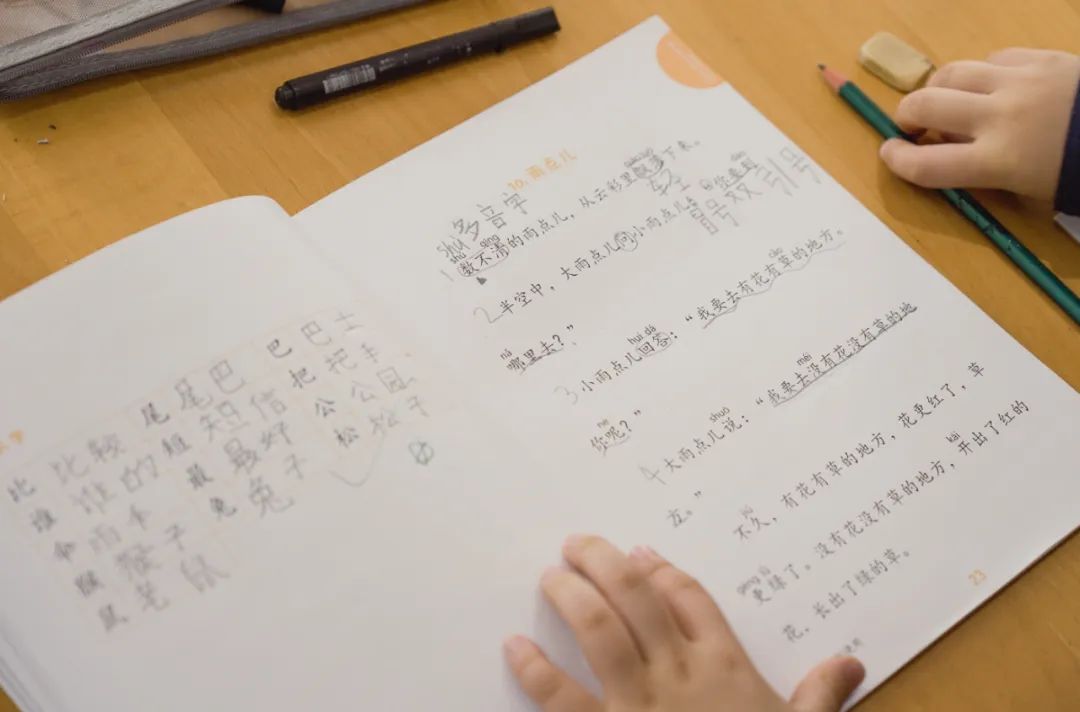 德威浦东特色中文母语课程，从幼儿阶段启航                