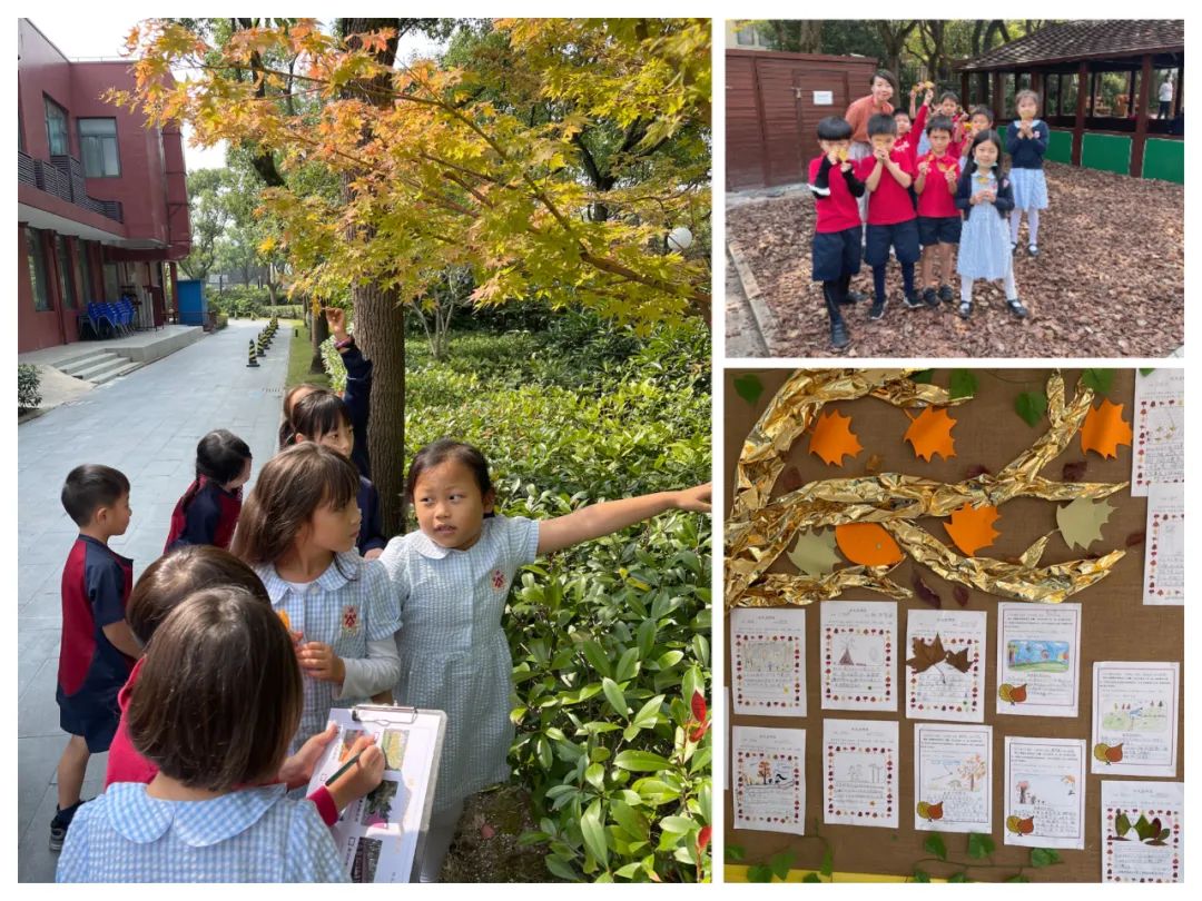 德威浦东特色中文母语课程，从幼儿阶段启航                