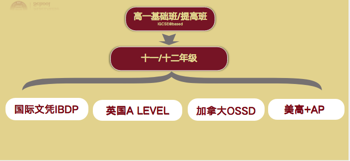 11月12日美达菲国际学校开放日预约通道已开启！                