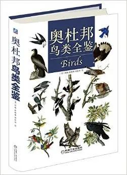万科梅沙书院开启生命教育：一场“救鸟行动”                