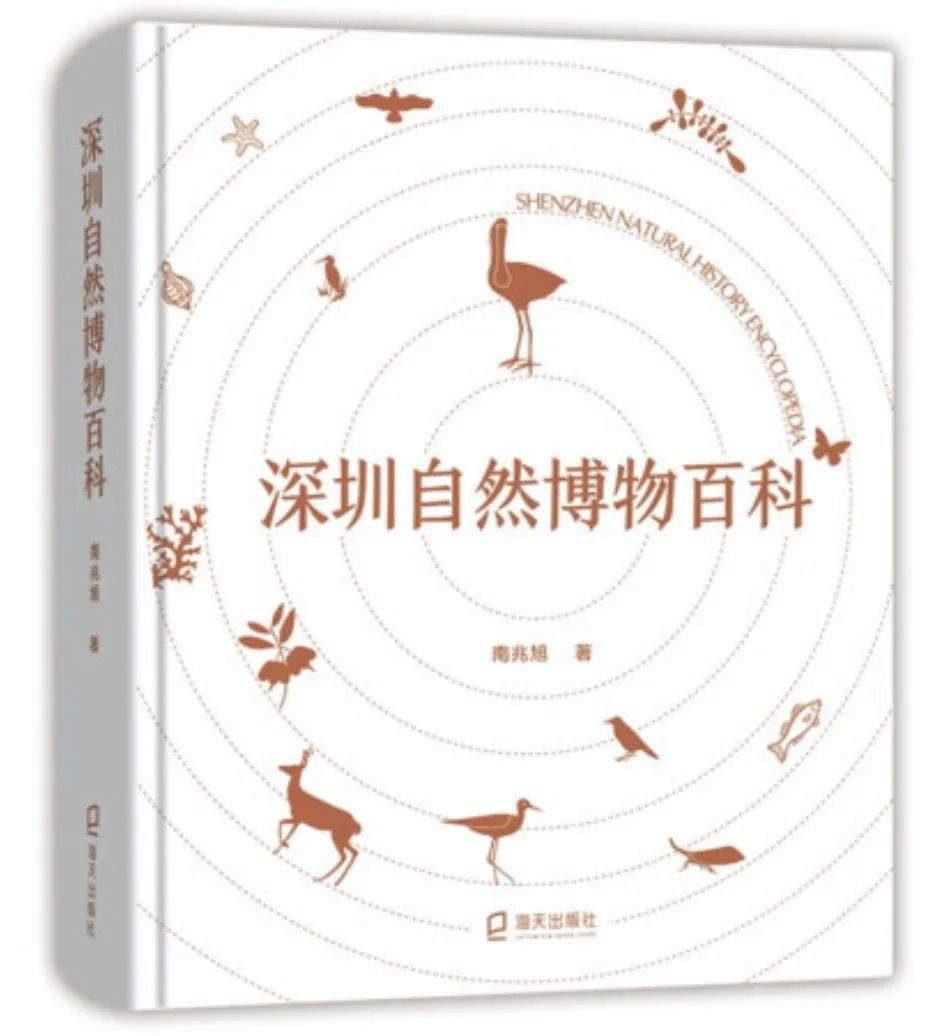 万科梅沙书院开启生命教育：一场“救鸟行动”                