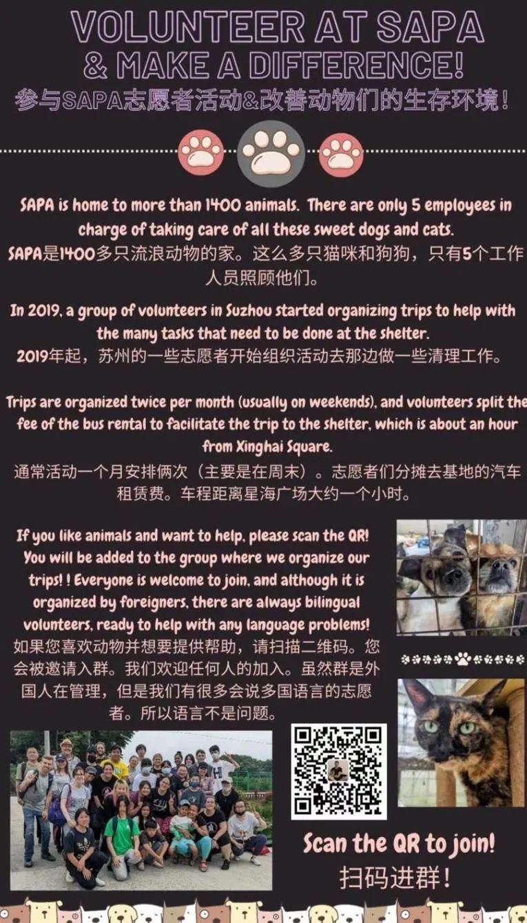 狄邦华曜学校高中社团活动，强势来袭！                