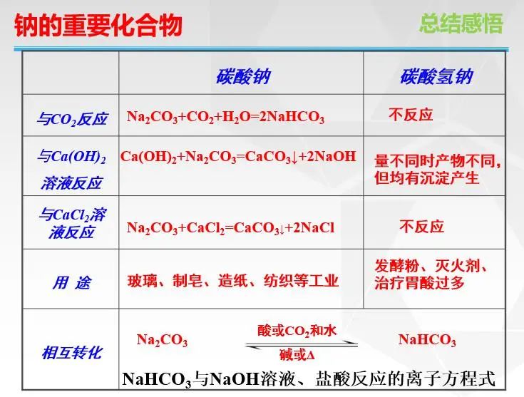 广州市香江中学国际部举行理科公开课                
