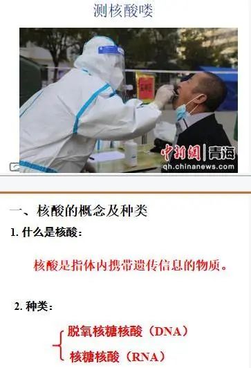 广州市香江中学国际部举行理科公开课                