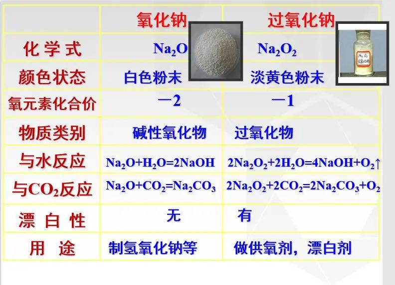 广州市香江中学国际部举行理科公开课                