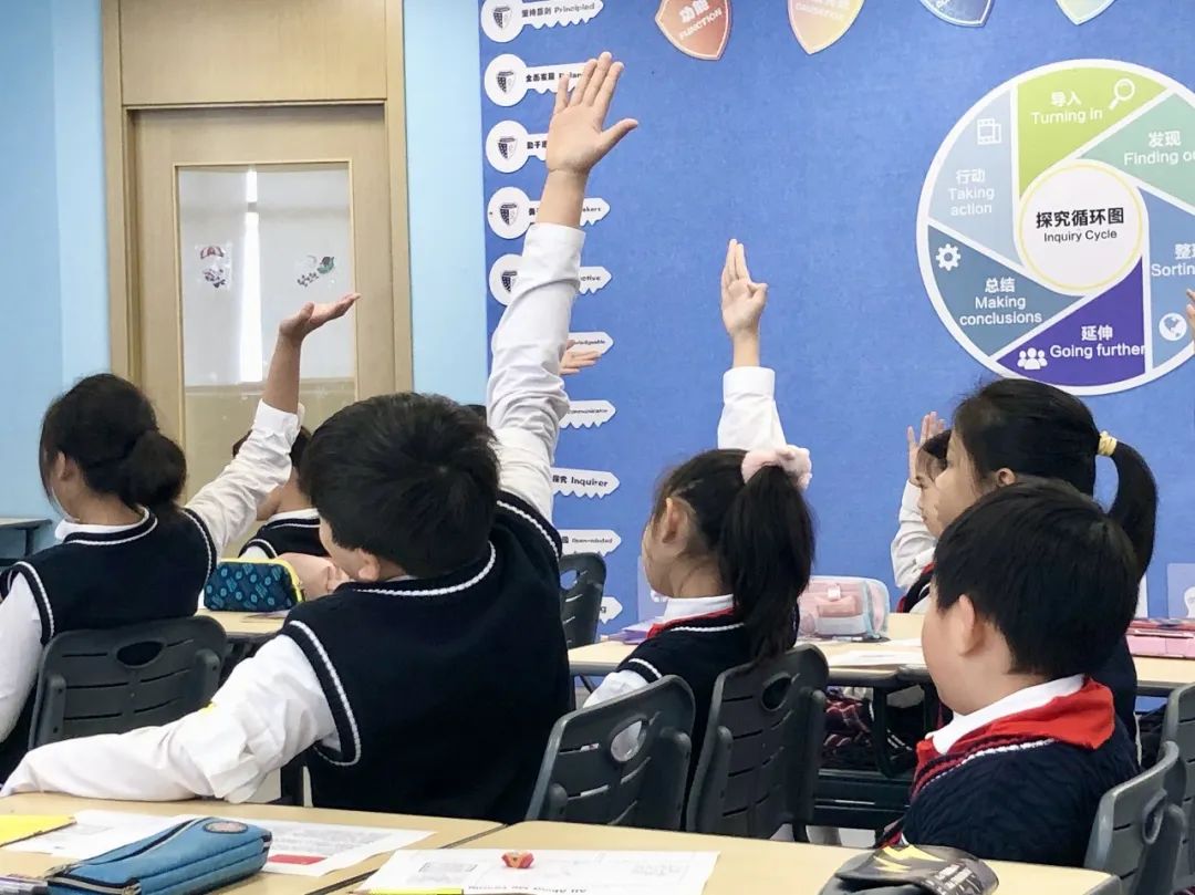 记上海民办常青藤学校三四年级开放日活动                