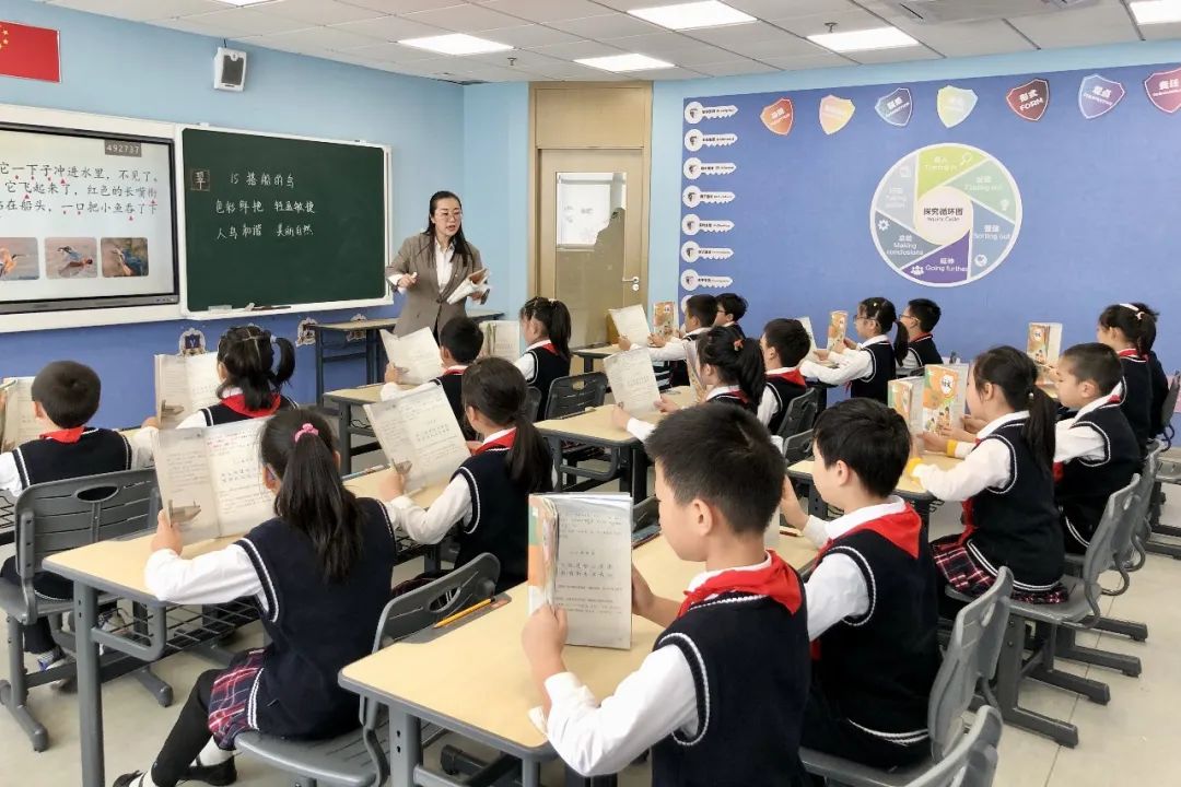 记上海民办常青藤学校三四年级开放日活动                