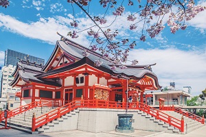 北京市第八中学怡海分校国际部日本高中春季班课程设置 _ 北京市第八中学怡海分校国际部