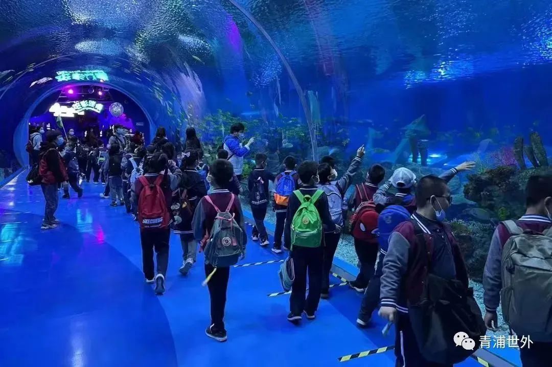 上海青浦区世界外国语学校秋季一日游                