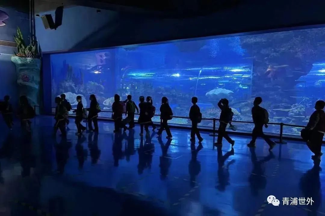 上海青浦区世界外国语学校秋季一日游                