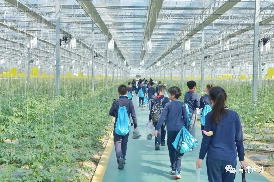 上海青浦区世界外国语学校秋季一日游                