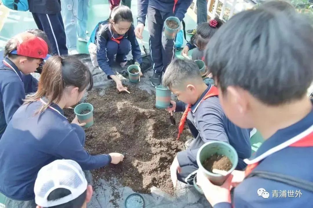 上海青浦区世界外国语学校秋季一日游                