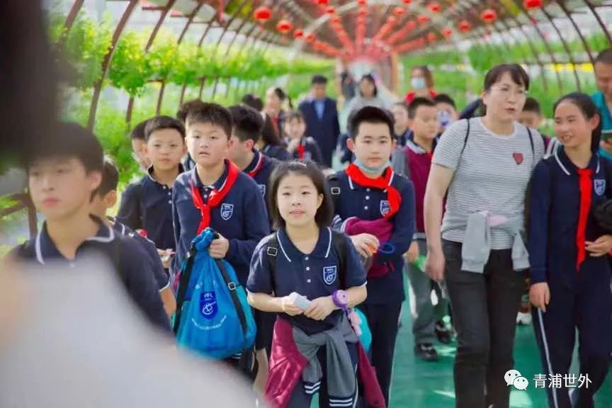 上海青浦区世界外国语学校秋季一日游                