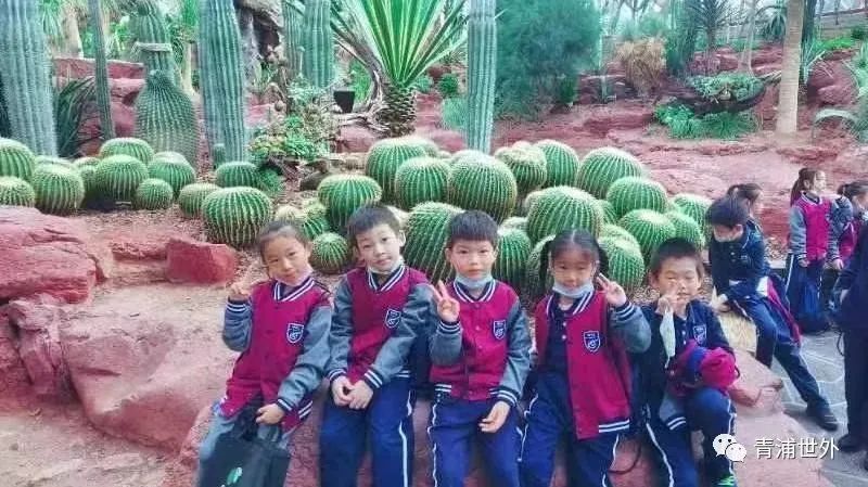 上海青浦区世界外国语学校秋季一日游                
