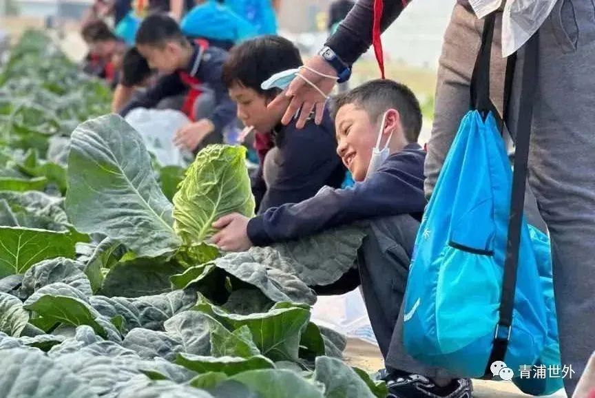 上海青浦区世界外国语学校秋季一日游                