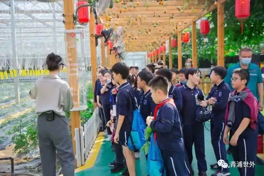 上海青浦区世界外国语学校秋季一日游                