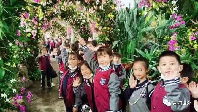 上海青浦区世界外国语学校秋季一日游                