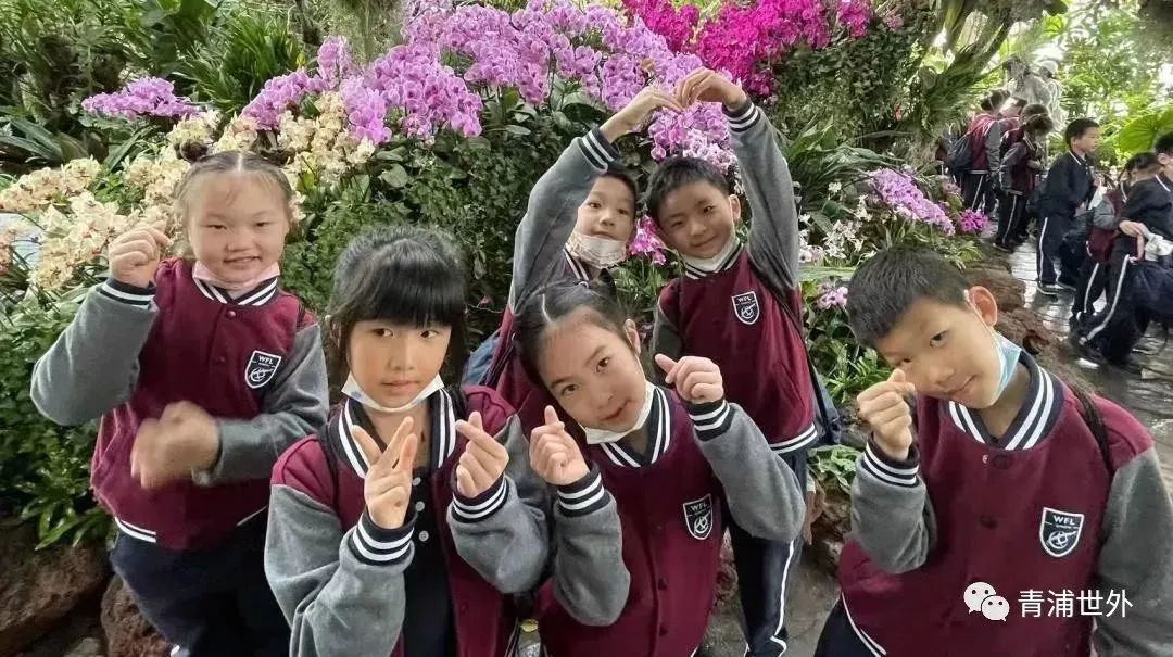 上海青浦区世界外国语学校秋季一日游                