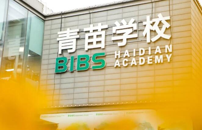 青苗学校:上国际学校给孩子选择合适的课程一定要知道这些要点! _ 青苗学校