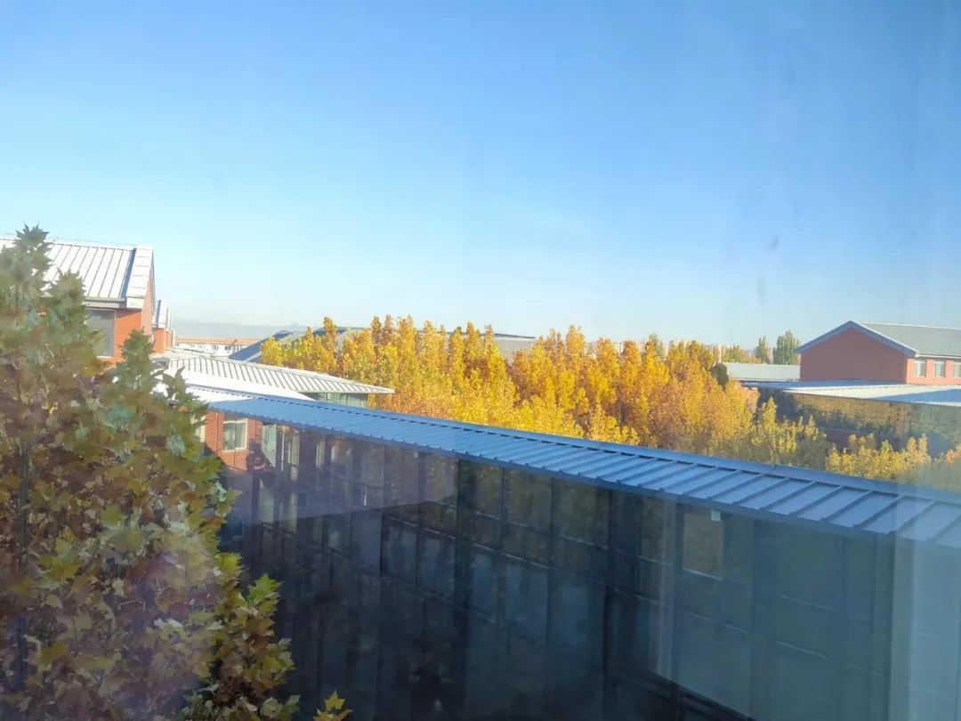 北京王府学校线上教学真实记录                