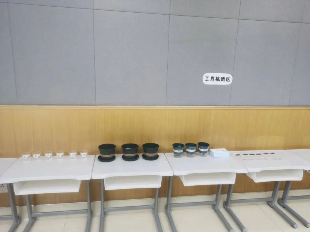 上海世外教育附属浦江外国语学校第一届教学节之“小主综”课堂展示                
