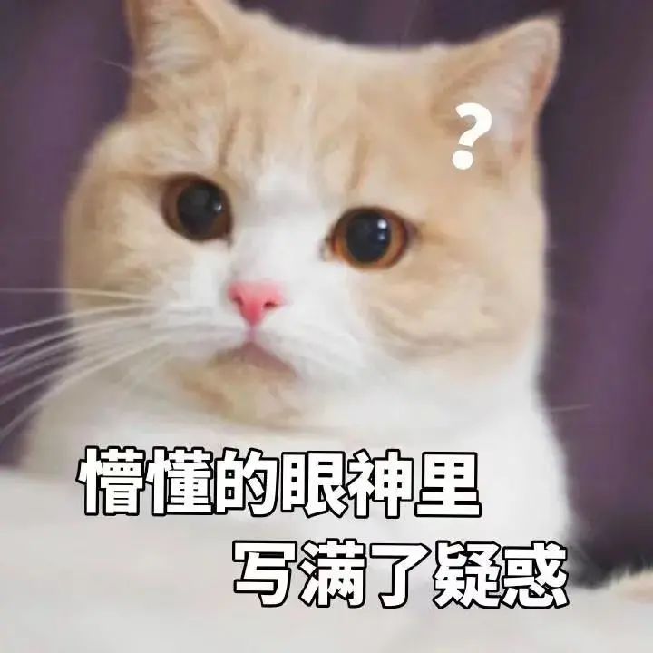 初三下学期想转轨深圳国际高中还有机会吗?