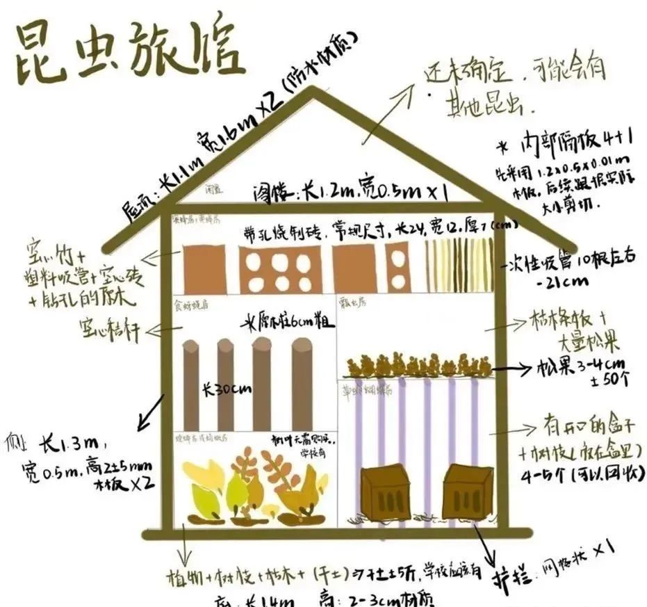 为什么选择上海浦东新区惠立学校?一位同学展现了一所学校的价值                