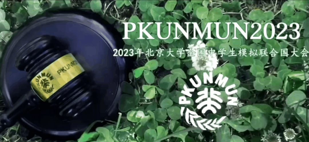 上海市西南位育中学参加2023北京大学全国中学生模拟联合国大会                