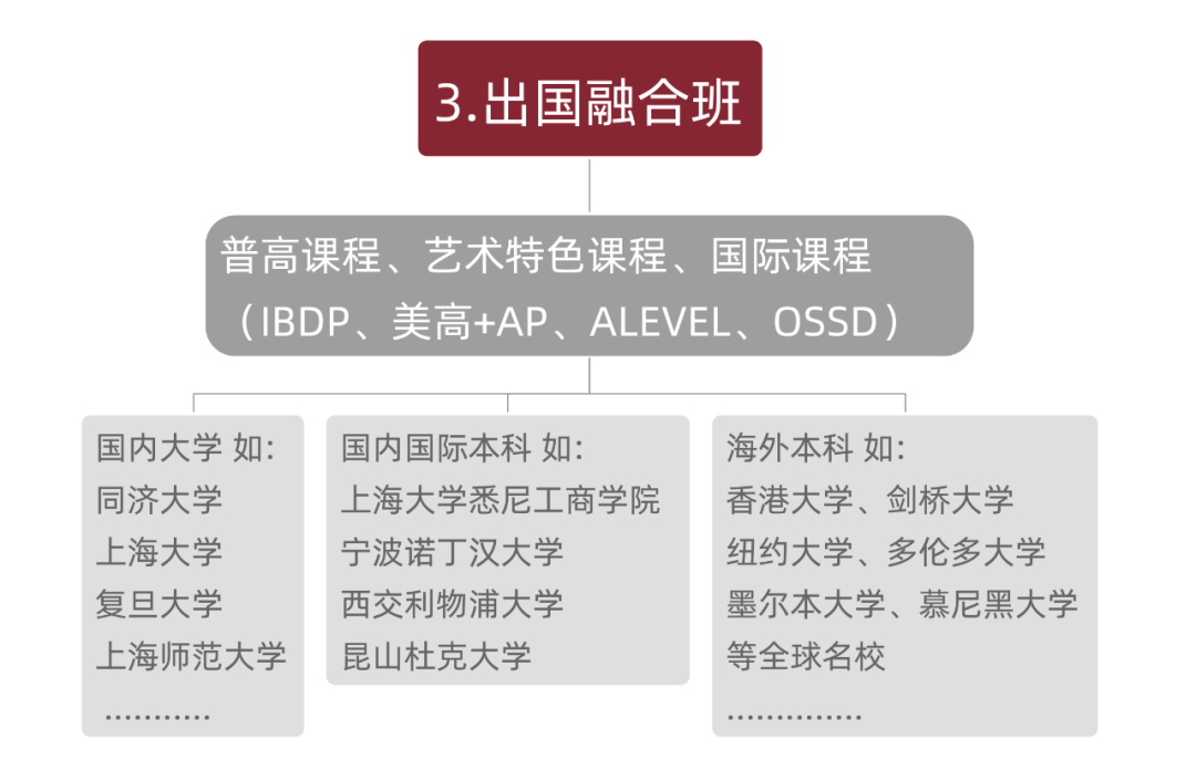 上海美达菲双语高级中学办学特色 _ 上海美达菲学校
