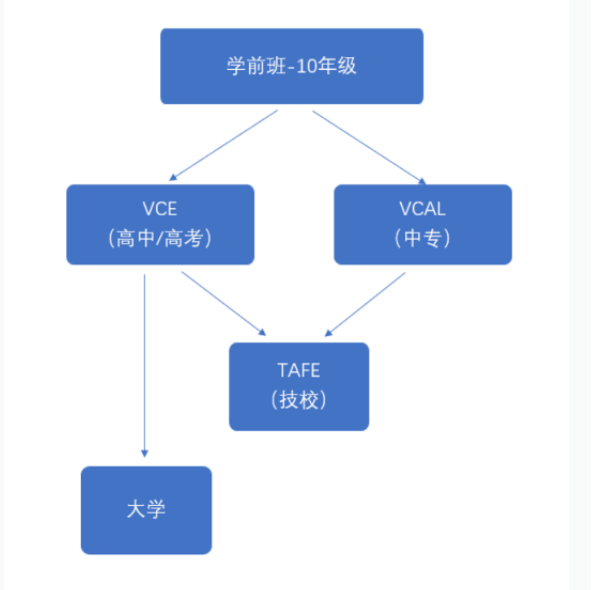 什么是VCE课程?中澳的教育系统什么不同?