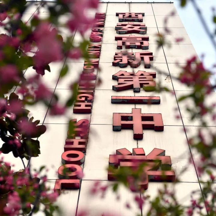 西安高新一中诚聘人力资源干事                